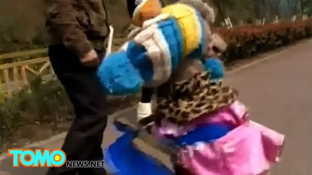 كلب يبدو وكأنه طفل صغير بعد أن ألبسوه ثياباً ومشى على رجلين