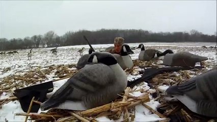 GoPro Goose Hunting