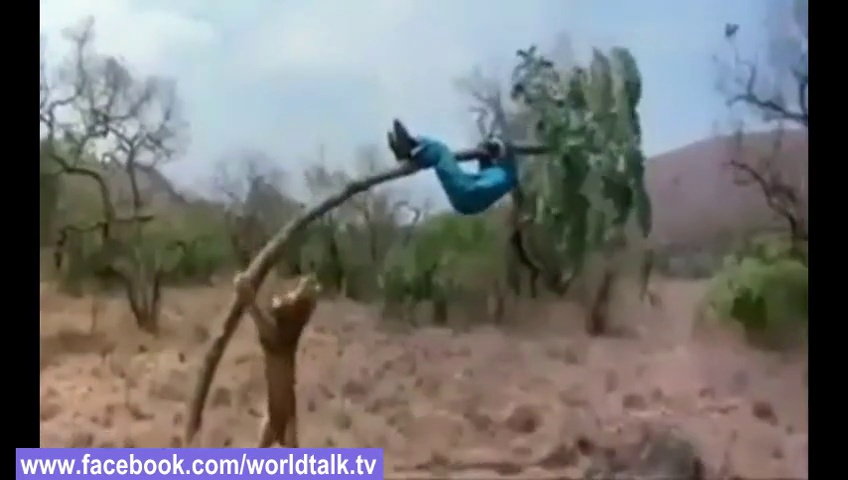 ⁣OMG!! Lion VS Man