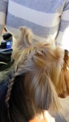 French Braid By Clip-N-Go