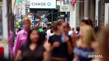 En Nueva York aparece una estatua en honor a Edward Snowden