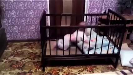 Mira cómo un bebé escapa de su cuna de manera muy ingeniosa