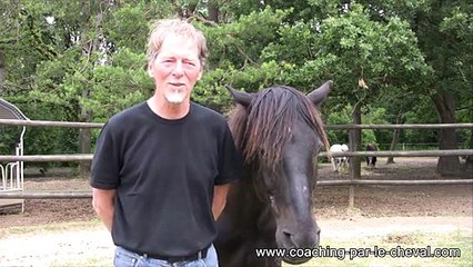 Retrouver la confiance en soi, prendre sa place dans la vie, s’affirmer grâce au cheval