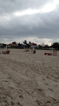 Blacky - Poney E Elite - Ecuries de Flore - 4pts