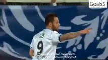 Sammaritano F Goal Auxerre 1 - 0 Guingamp Coupe de France 7-4-2015