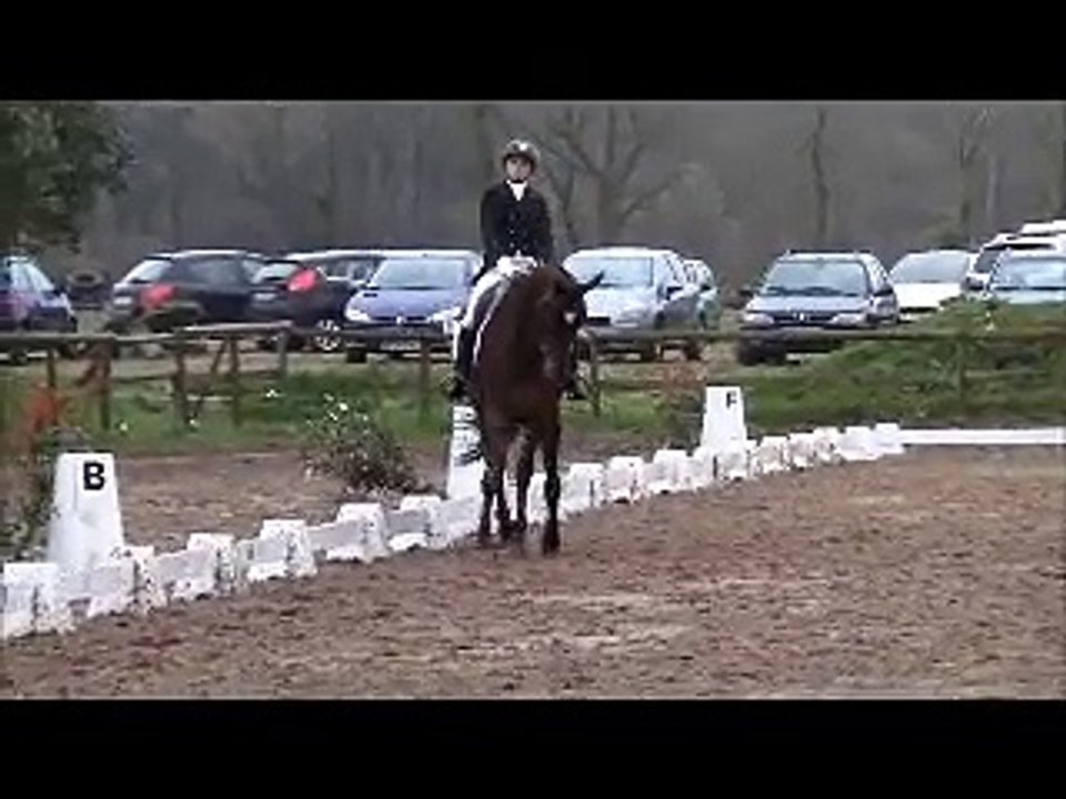 Salina AM1 - Guérande