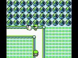 Pokemon Yellow: Professor Oak Battle *NO GAMESHARK CODE USED*