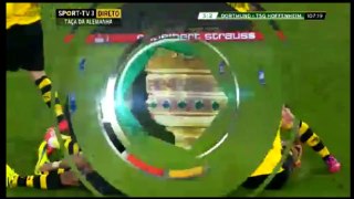Sebastan Kehl Amazing Goal vs Hoffenheim 07/04/2015 DFB Pokal