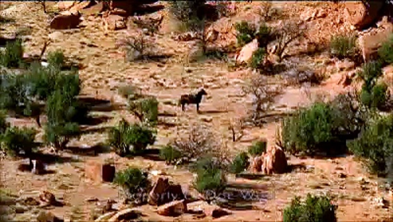 Doc West Trailer (2008)