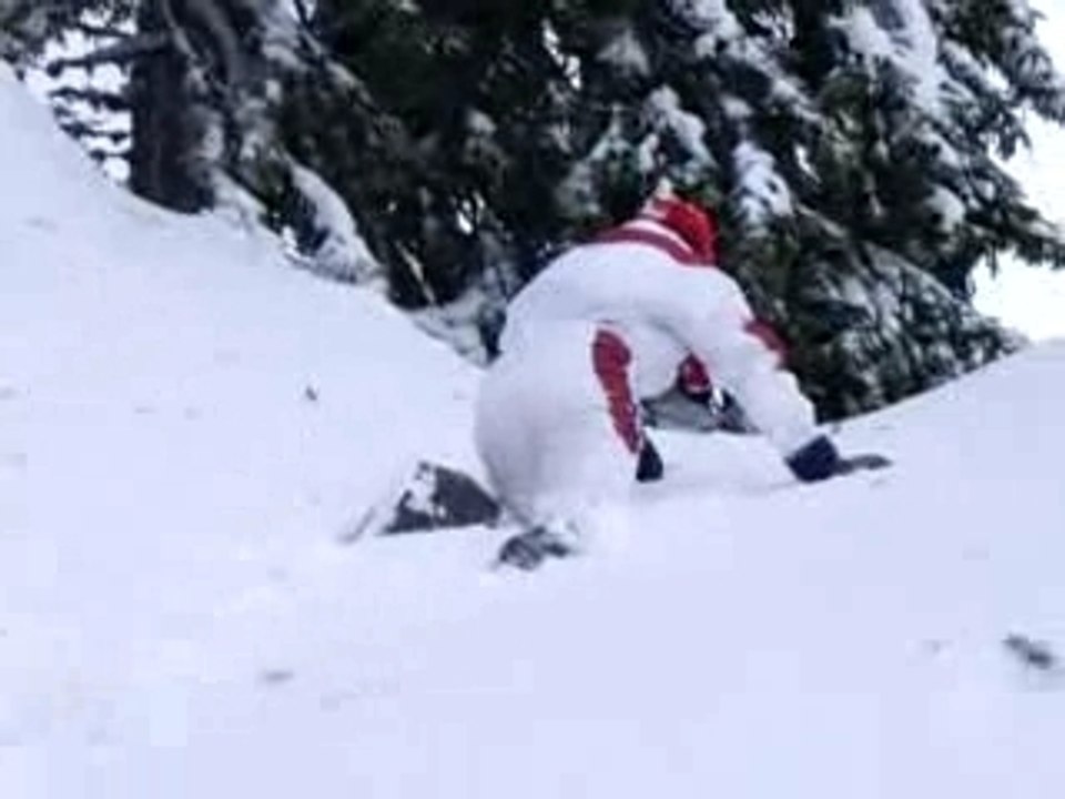 boubou la grosse bête