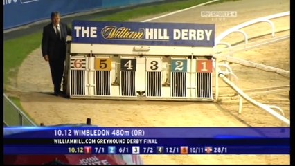 Greyhound Derby Final 2010