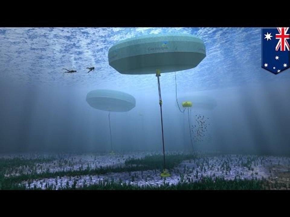 Renewable energy: CETO system converts sea waves into zero-emission electricity