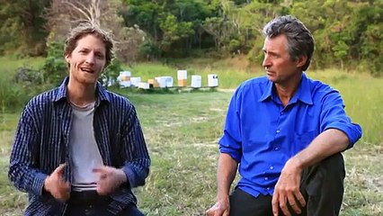 Ils récoltent 2 millions d'euros en moins de 48 heures grâce à une ruche révolutionnaire