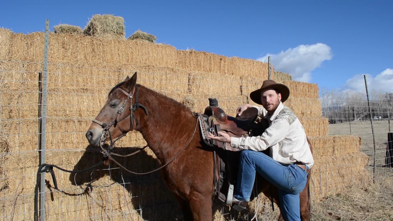 How To Mount A Horse