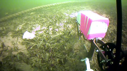 #ROV #Grabber Подводный манипулятор