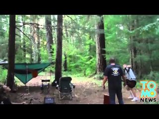 Fledermaus greift Waldmusiker an