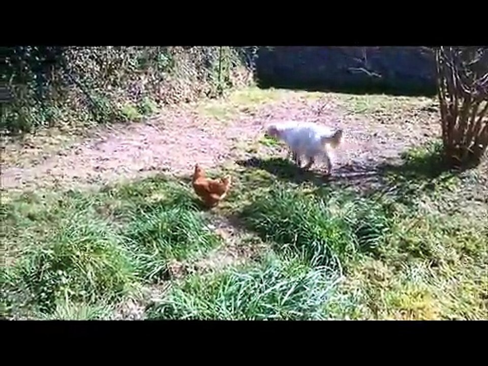 Dans le jardin !
