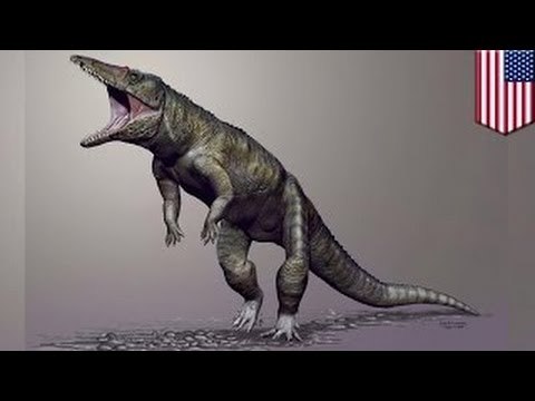 «Каролинский мясник» - крокодил на задних лапах из Северной Каролины триасового периода