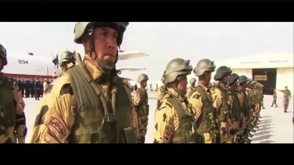 The Egyptian Military Power