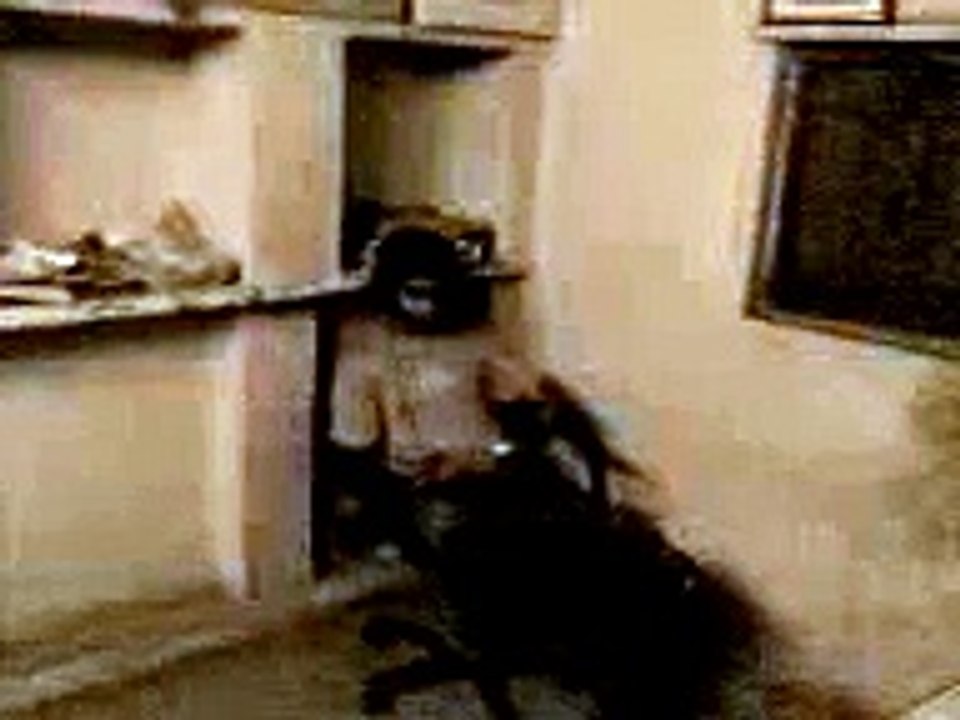 Real Ghost Captured on Camera (India)