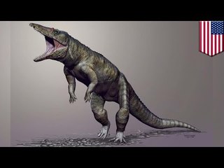 Ogromny, chodzący na dwóch łapach krokodyl zamieszkiwał bagna w Północnej Karolinie