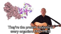 Enzymes: Mr. W's Enzyme Song