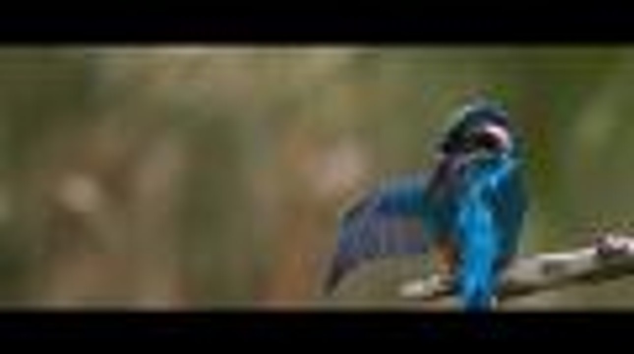SEEN 2015 - #15 - Folge 1 von 5