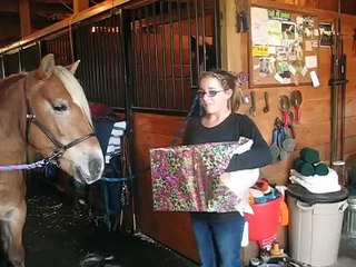 What happens when a girl gets her first horse....