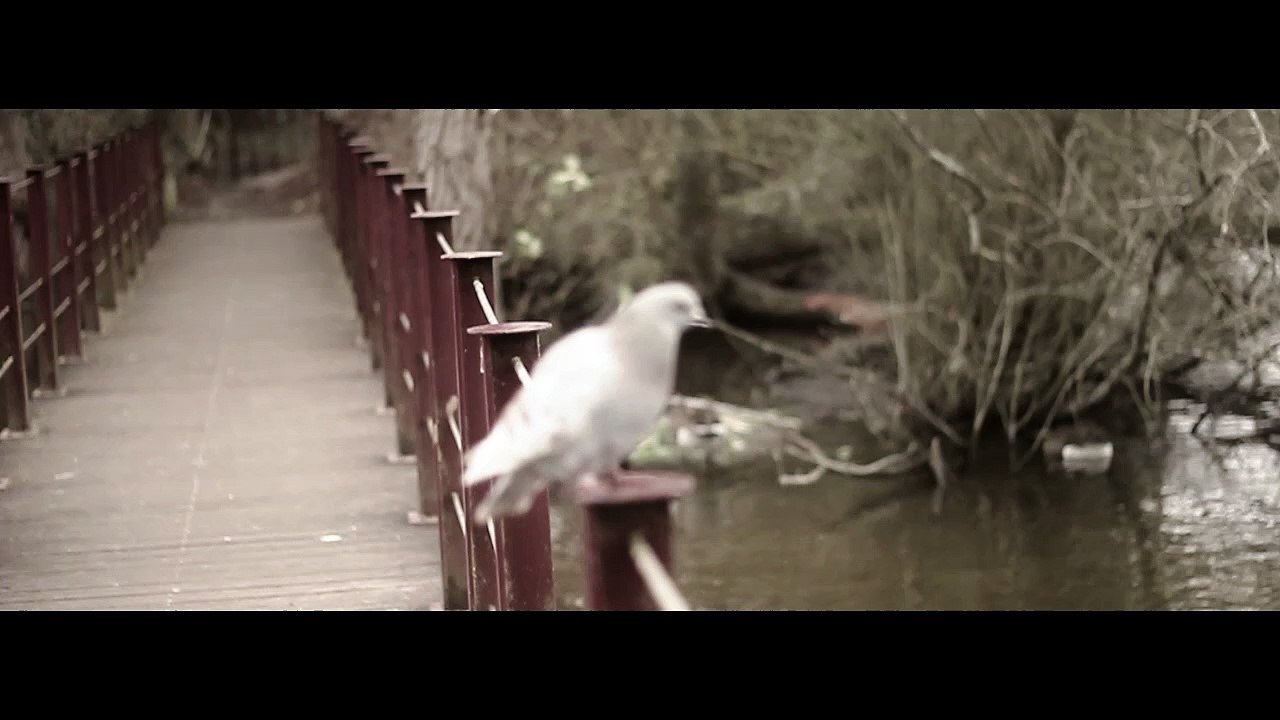 PARC NATUREL PÂTIS (prod.by MooBoo)