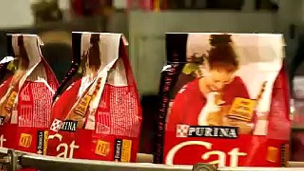 Engineering Culture at Nestle Purina PetCare Company