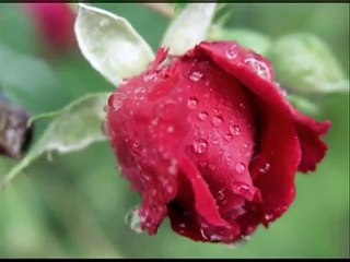 Persian Song with traditional music