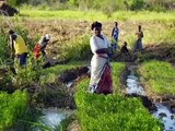 Climate Change Adaptation for Tanzania's Coastal Villages