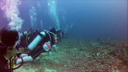 Thresher Shark Video, Malapascua, Philippines