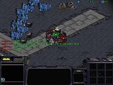 Algoritmos Geneticos - StarCraft