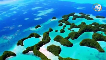 2015 yılının en büyük keşfi