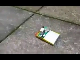 How dangerous is a mobile phone battery must watch it