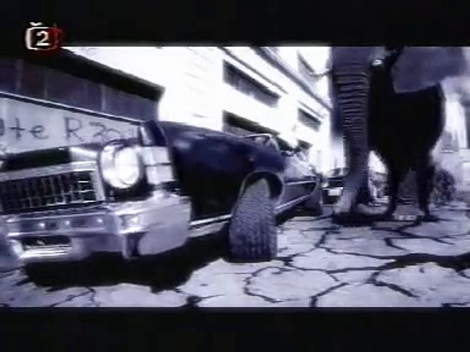 Animal Army - Babylon Zoo