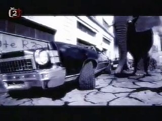 Animal Army - Babylon Zoo