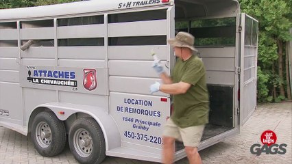 Explosive Elephant Prank