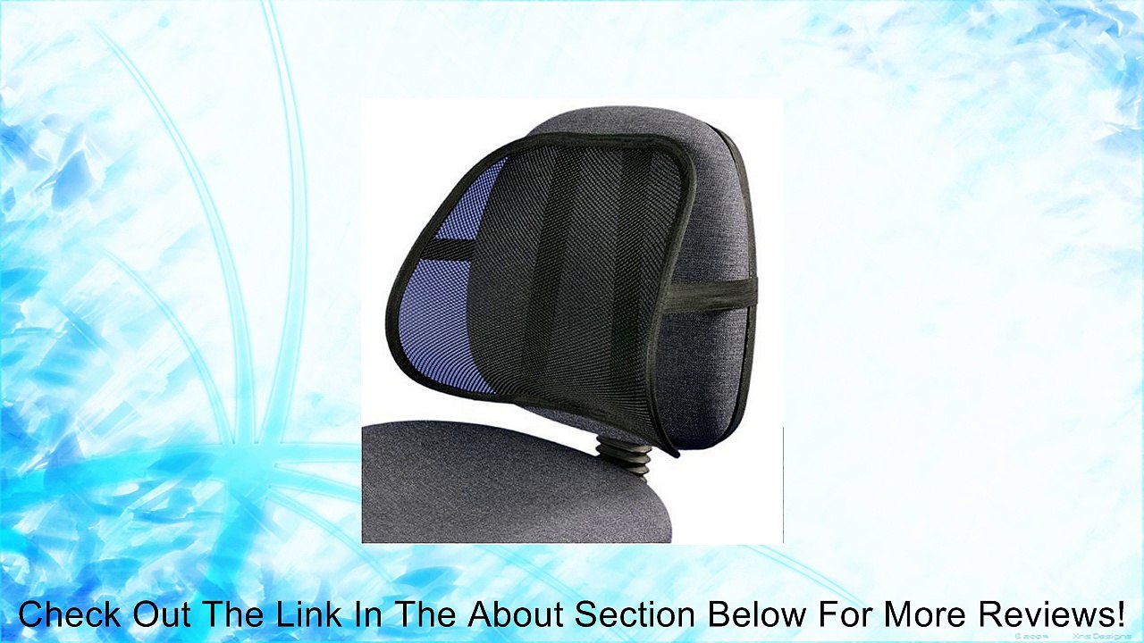 Mesh Back Lumbar Support For Your Car Seat, Chair Review
