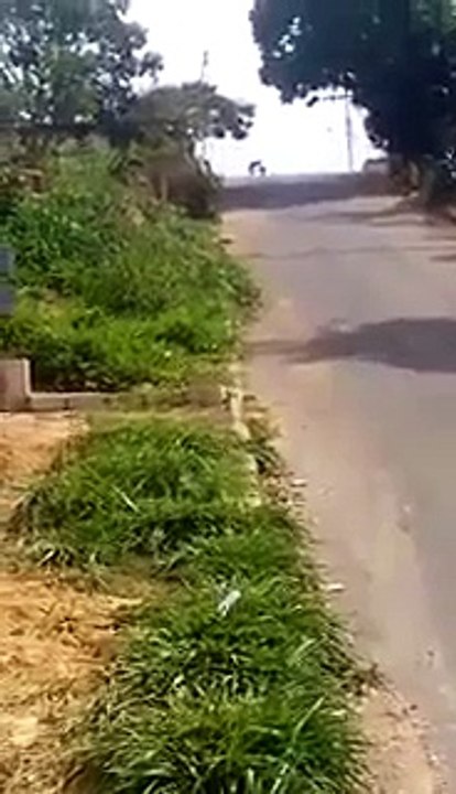 VID-20150402-WA0025