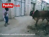 Pakistani Kids Funny Clips Pashtotrack - Video Dailymotion