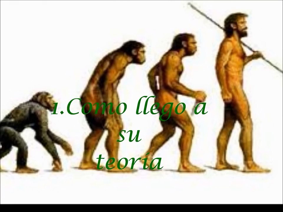 Darwin y la teoría de la evolución por seleccion natural