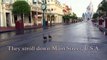 A Day In the Life of Disney Ducks at Magic Kingdom Park | Walt Disney World | Disney Parks