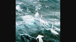 Surviving the Storm Coastal Offshore Tactics