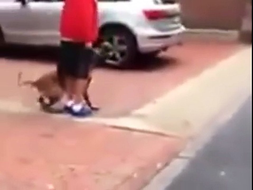 Funny Videos4