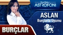 ASLAN BURCU VE DİĞER BURÇLAR