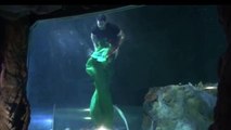Un mago atado en un saco dentro de acuario con tiburones se escapa en 30 segundos