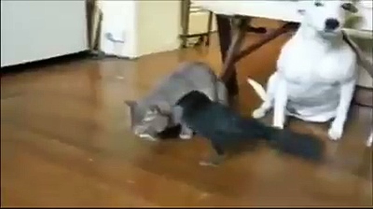 Perfect friendship