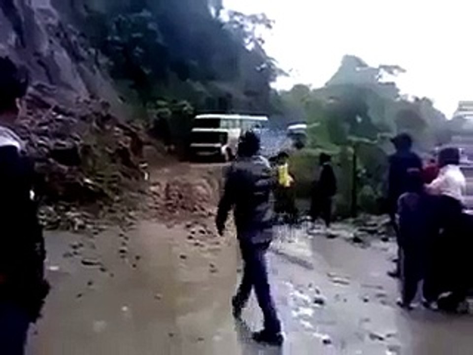 Funny Animal Videos - Video